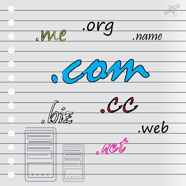 When available, choose a .com extension.