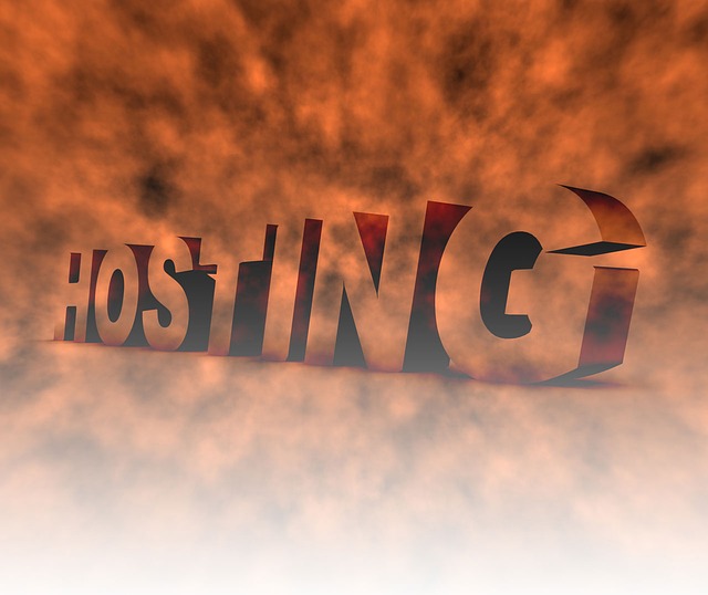 Always look for the most reliable host for your domain.
